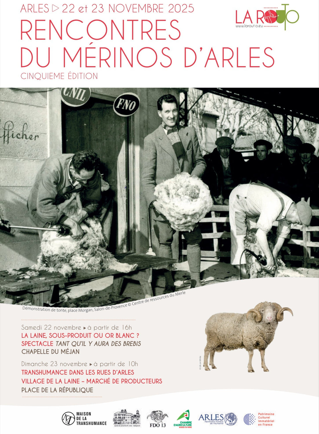 Un événement incontournable pour les passionnés de laine